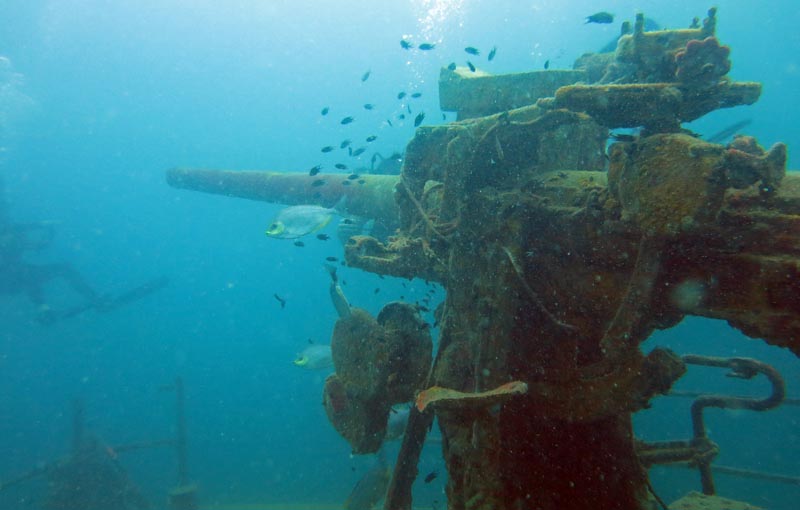 PADI MSDT Wreck Instructor Thailand Koh Tao Sattakut