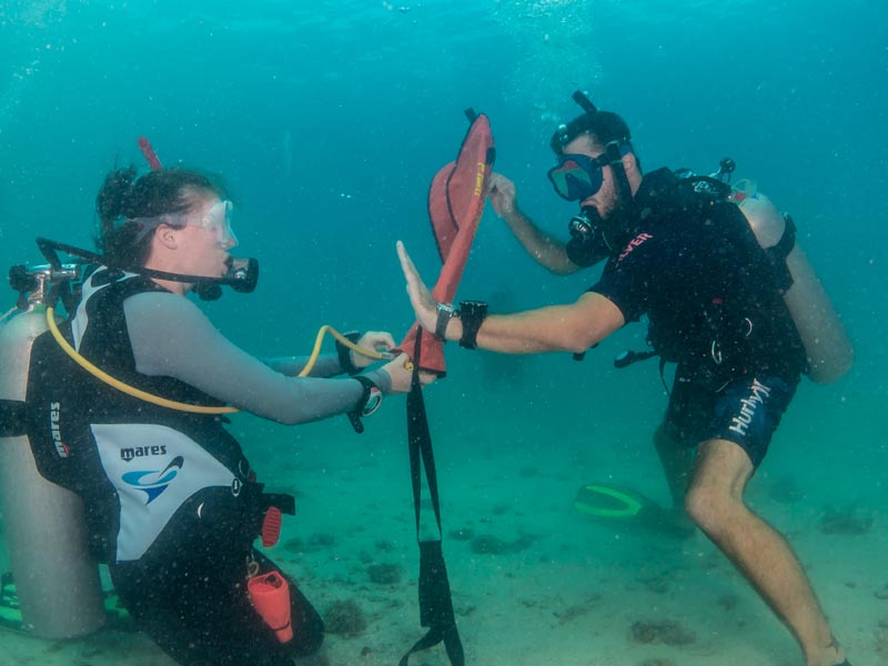 Senior Diving Instructors Teaching Internships